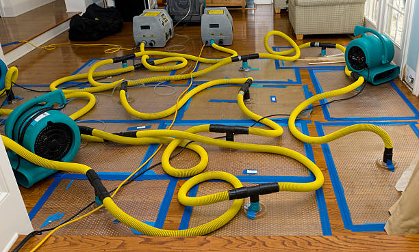 Professional Water Extraction technician working in Garwood, TX